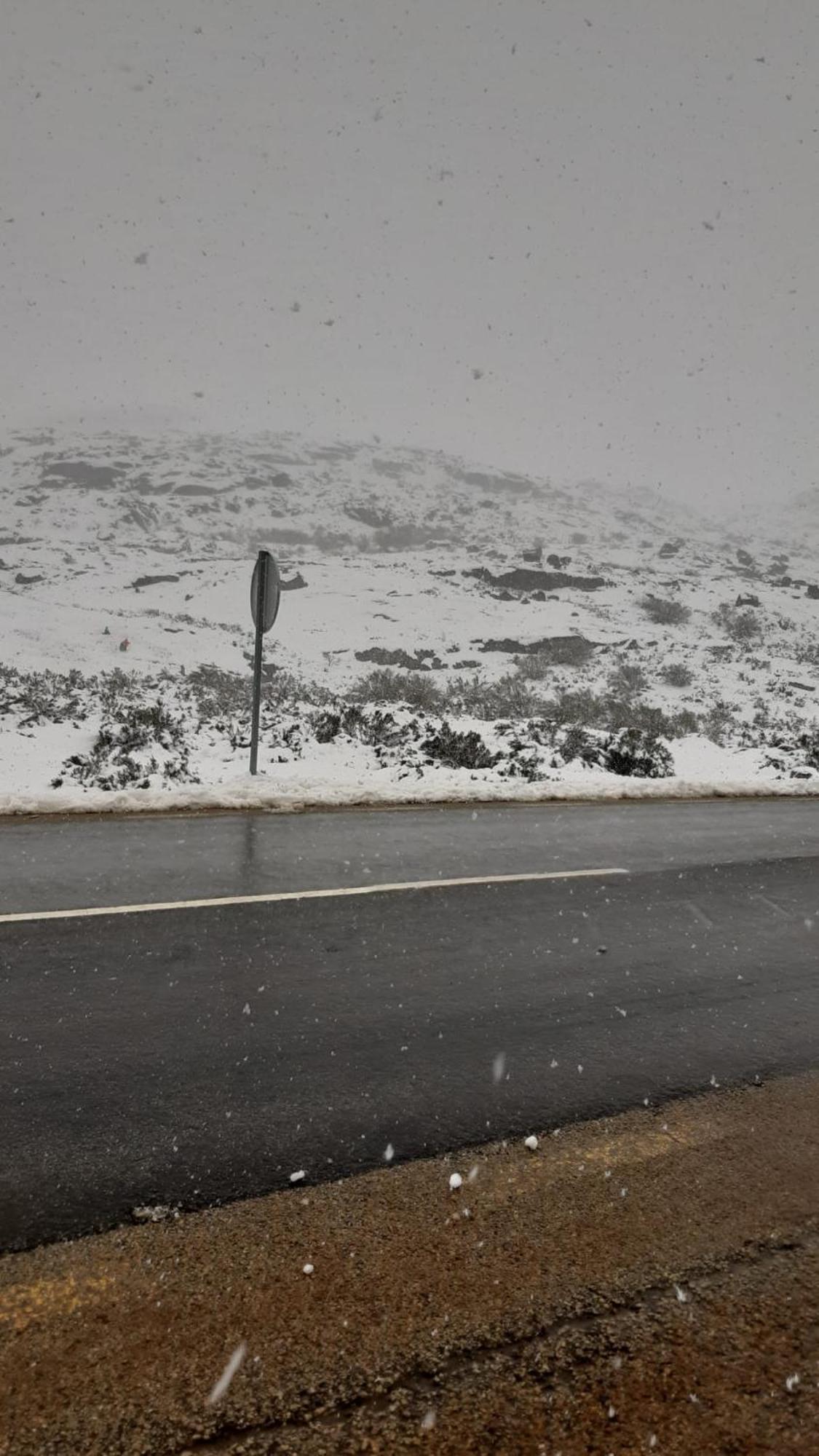 Serra Da Estrela - Casa Castro Gouveia  Eksteriør billede